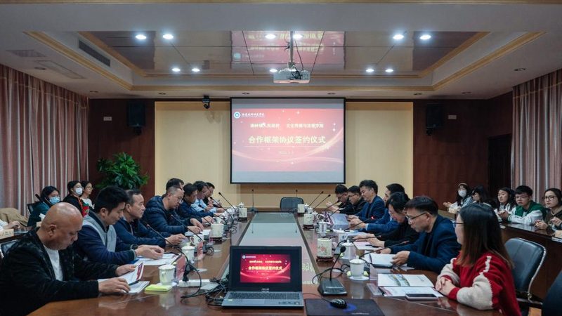 活动媒介投放案例流程揭秘：从策略到执行**